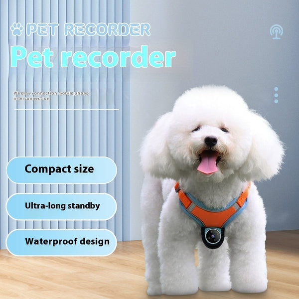 PetView | Halsband met Camera en GPS-tracker