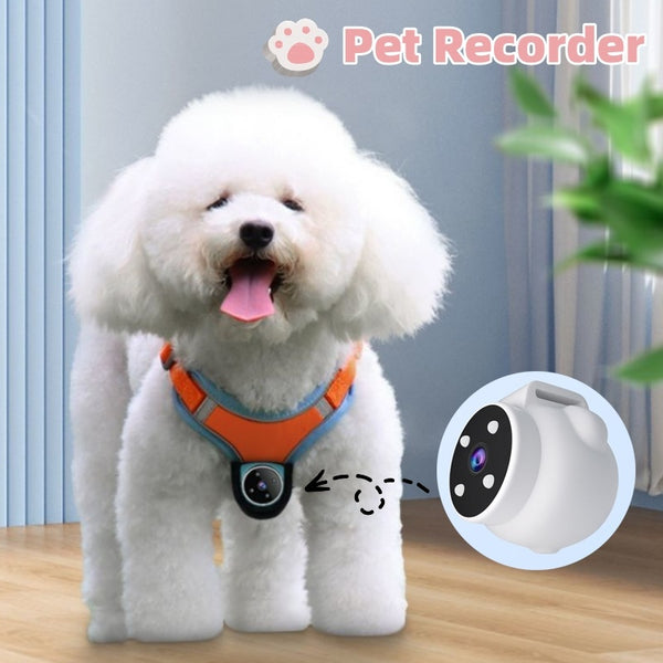 PetView | Halsband met Camera en GPS-tracker